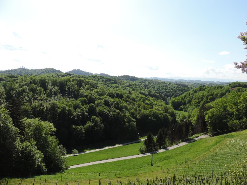 Weingut Gaestezimmer Gruber Ehrenhausen Zewnętrze zdjęcie